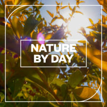 Cover art for Nature by Day pack