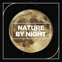 Cover art for Nature by NIght pack