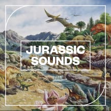 Cover art for Jurassic Sounds pack