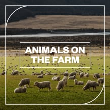 Cover art for Animals on the Farm pack