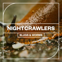 Cover art for Nightcrawlers: Slugs and Worms pack