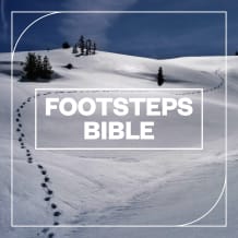 Cover art for Footsteps Bible pack