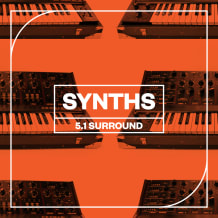 Cover art for Synths: 5.1 Surround pack