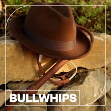 Cover art for Bullwhips pack