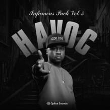 Cover art for Havoc Infamous Pack Vol. 5 pack