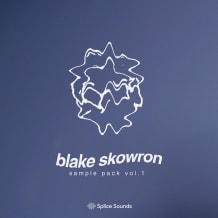 Cover art for Blake Skowron Sample Pack pack