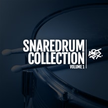 Cover art for ARTFX - Snaredrum Collection Vol.1 pack