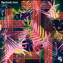 Cover art for Electronic Soul pack