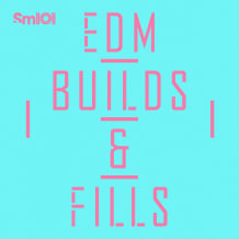 Cover art for EDM Builds & Fills pack