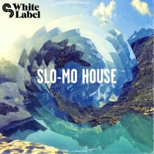 Cover art for Slo-Mo House pack