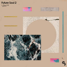 Cover art for Future Soul 2 pack