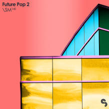 Cover art for Future Pop 2 pack