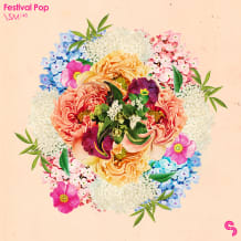 Cover art for Festival Pop pack