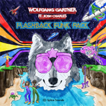 Cover art for Wolfgang Gartner "Flashback Funk Pack" feat. Josh Charles pack