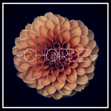 Cover art for Chordz pack