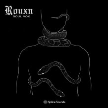 Cover art for Rouxn: Soul Vox pack