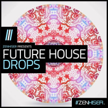 Cover art for Future House Drops pack