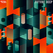 Cover art for Future Deep pack