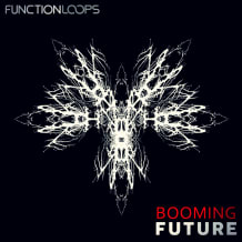 Cover art for Booming Future pack