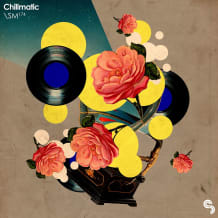 Cover art for Chillmatic pack