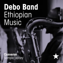 Cover art for Debo Band - Ethiopian Music pack