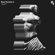 Cover art for Raw Techno 2 pack