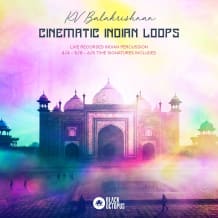 Cover art for Cinematic Indian Loops pack