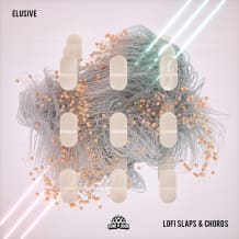 Cover art for Elusive - Lofi Slaps & Chords pack