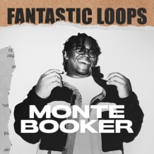 Cover art for Fantastic Loops: Monte Booker pack