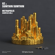 Cover art for UZ &  Sumthin Sumthin: Metrapolis Samples pack