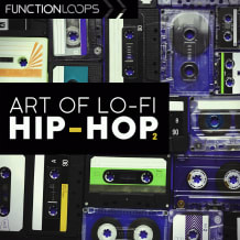 Cover art for The Art of LoFi Hip Hop 2 pack