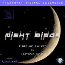 Cover art for Night Winds by Lostbeat Audio pack