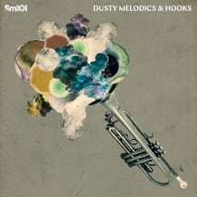 Cover art for Dusty Melodics & Hooks pack