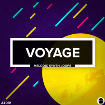 Cover art for Voyage pack