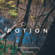 Cover art for Soul Potion: Organic Sounds pack