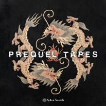 Cover art for Sounds from the Dragon Room by Prequel Tapes pack