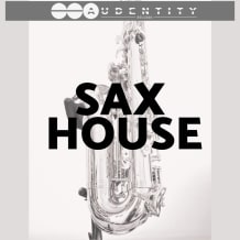 Cover art for Sax House pack