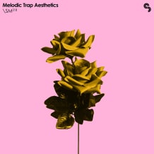 Cover art for Melodic Trap Aesthetics pack