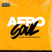 Cover art for Afro Soul - Island Inspired Dancehall pack