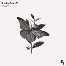 Cover art for Soulful Trap 2 pack