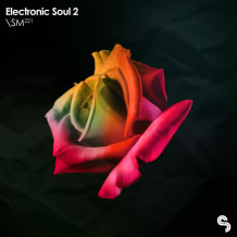 Cover art for Electronic Soul 2 pack