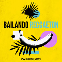 Cover art for Bailando Reggaeton pack