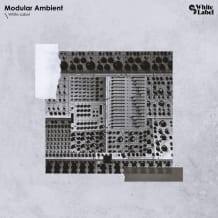 Cover art for White Label - Modular Ambient pack