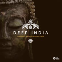 Cover art for Deep India pack