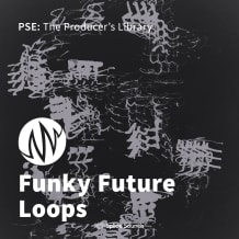 Cover art for Funky Future Loops pack