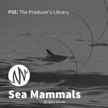 Cover art for Sea Mammals pack