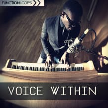 Cover art for Voice Within pack