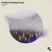 Cover art for Ambient Analog House pack