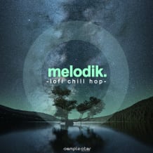 Cover art for Melodik Lofi Chill Hop pack