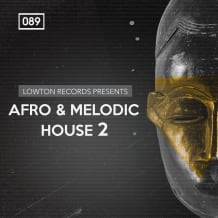 Cover art for Lowton Records Presents: Afro & Melodic House 2 pack